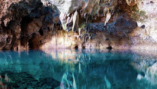 Explore Santo Domingo - Full-Day Tour - Foto 3